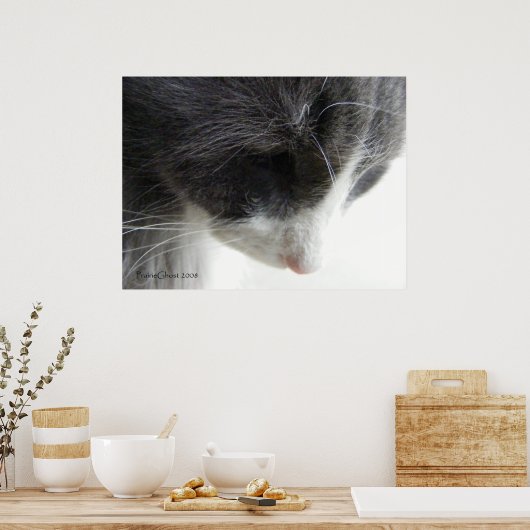 C'zer 1 poster (Küche)