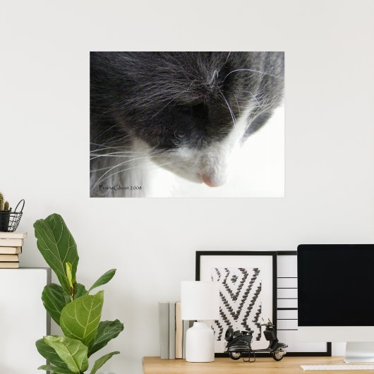 C'zer 1 poster (Heimbüro)