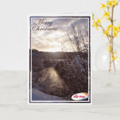 CZT 2013 KARTE (Gelbe Blume)