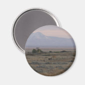 D10 Weißschwanz-Hirsch- und Süßgrasberge Magnet (Vorderseite/Rückseite)