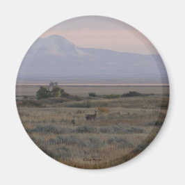 D10 Weißschwanz-Hirsch- und Süßgrasberge Magnet