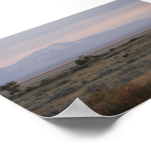 D10 Weißschwanzberge Poster (Ecke)