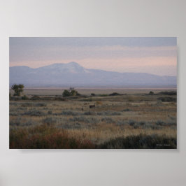 D10 Weißschwanzberge Poster