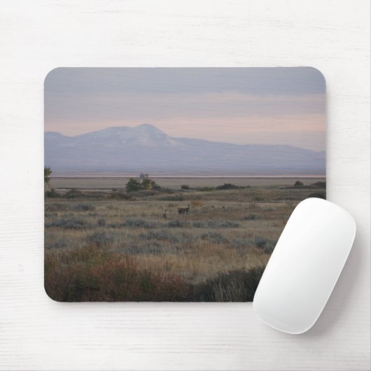 D10 Weißschwanztuchhalter und Sweet Grass Hills Mousepad (Mit Mouse)