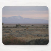 D10 Weißschwanztuchhalter und Sweet Grass Hills Mousepad (Vorne)