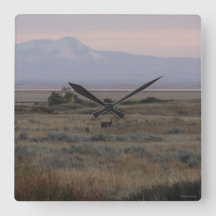 D10 Weißwedelhirsch Sweetgrass Hills