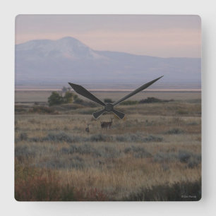 D10 Weißwedelhirsch Sweetgrass Hills Quadratische Wanduhr