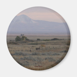 D10 Weißwedelhirsch und Sweet Grass Hills Magnet