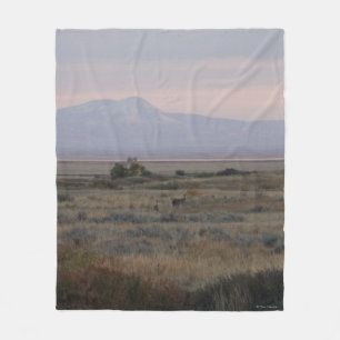 D10 Weißwedelhirsche und Sweet Grass Hills Fleecedecke