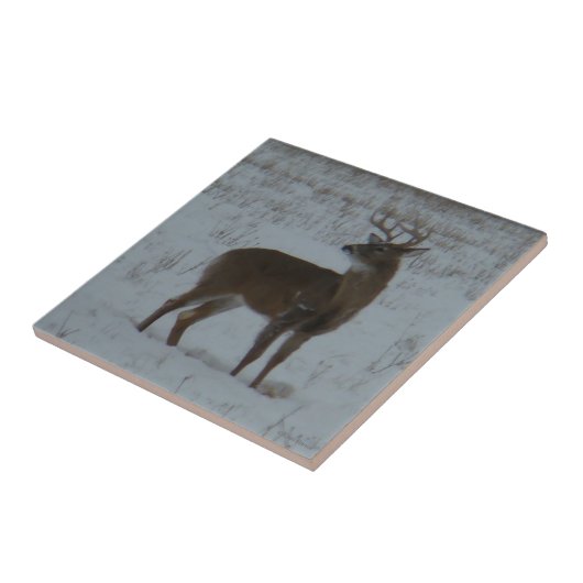 D11 Weiß-angebundener Dollar im Schnee Fliese (Seite)