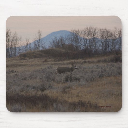 D12 Mule Deer Buck and Sweet Grass Hills Mousepad (Vorne)