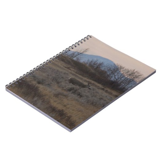 D12 Mule Deer Buck and Sweet Grass Hills Notizblock (Linke Seite)