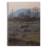 D12 Mule Deer Buck and Sweet Grass Hills Notizblock (Vorderseite)