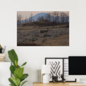 D12 Mule Deer Buck and Sweet Grass Hills Poster (Heimbüro)