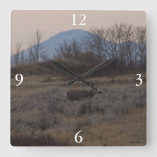 D12 Mule Deer Buck and Sweet Grass Hills Quadratische Wanduhr