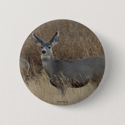 D14 Maultierhirsch Weibchen Button (Vorderseite)