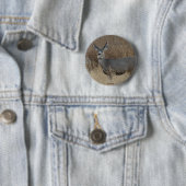 D14 Maultierhirsch Weibchen Button (Beispiel)