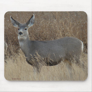D14 Maultierhirsch Weibchen Mousepad