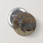 D14 Mule Deer Doe Button (Vorne & Hinten)