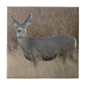 D14 Mule Deer Doe Fliese (Vorderseite)
