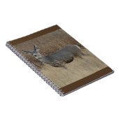 D14 Mule Deer Doe Notizblock (Rechte Seite)