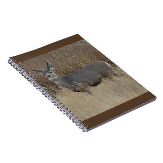 D14 Mule Deer Doe Notizblock (Rechte Seite)