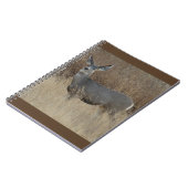 D14 Mule Deer Doe Notizblock (Linke Seite)