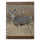 D14 Mule Deer Doe Notizblock (Vorderseite)