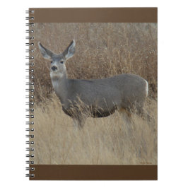 D14 Mule Deer Doe Notizblock