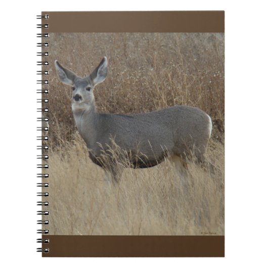D14 Mule Deer Doe Notizblock (Vorderseite)