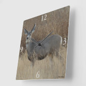 D14 Mule Deer Doe Quadratische Wanduhr (Winkel)