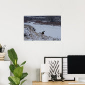 D16 Mule Deer im Flusstal Poster (Heimbüro)