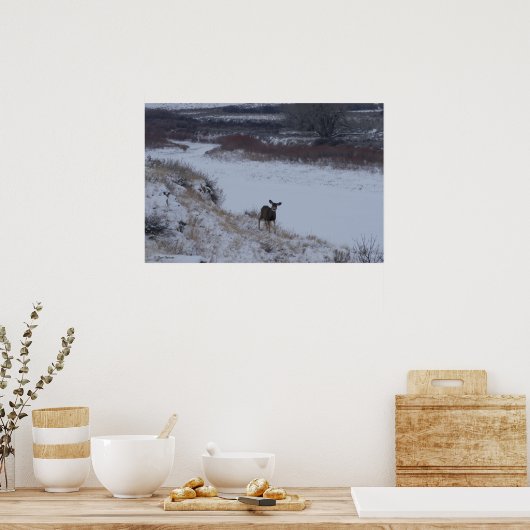 D16 Mule Deer im Flusstal Poster (Küche)