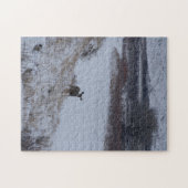D16 Mule Deer im Flusstal Puzzle (Horizontal)