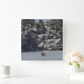 D17 Mule Deer Buck in Snowy Spruce Trees Quadratische Wanduhr (Zuhause)