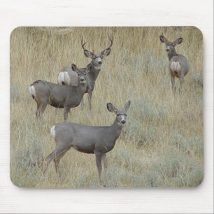 D18 Maultierhirsch Mousepad