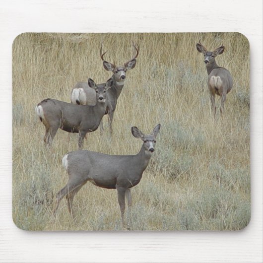 D18 Maultierhirsch Mousepad (Vorne)