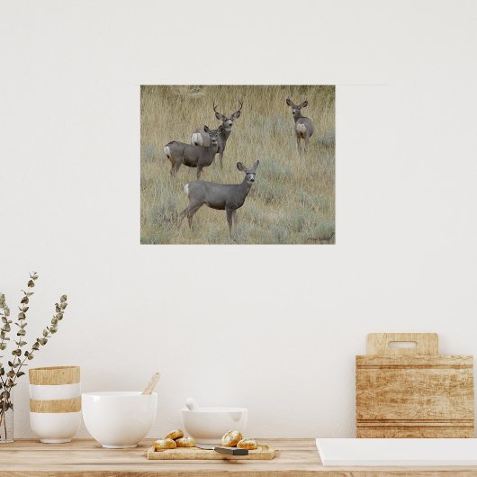 D18 Mule Deer Poster (Küche)