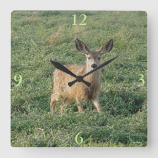 D19 Mule Deer Fawn in Alfapha Field Quadratische Wanduhr