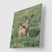 D19 Mule Deer Fawn in Alfapha Field Quadratische Wanduhr (Winkel)