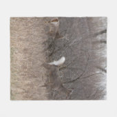 D1 Weiß-angebundene Rotwild-Frühlings-Dollars in Fleecedecke (Vorderseite (Horizontal))