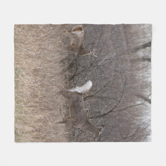 D1 Weiß-angebundene Rotwild-Frühlings-Dollars in Fleecedecke (Vorderseite (Horizontal))