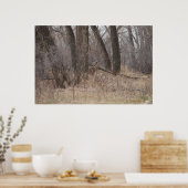 D1 Weißschwanzbuck Poster (Küche)