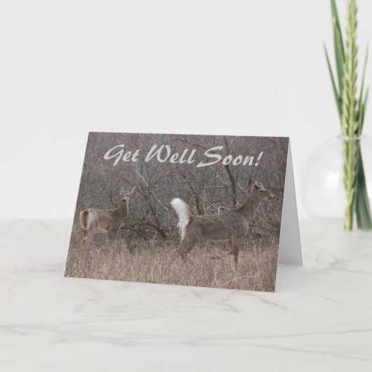 D1 Weißschwanzbucken für Hirsche im Baumwollwald Karte (Vorderseite)