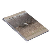 D1 Weißschwanzbucken Notizblock (Rechte Seite)