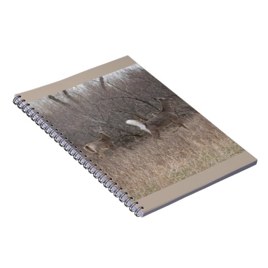 D1 Weißschwanzbucken Notizblock (Rechte Seite)