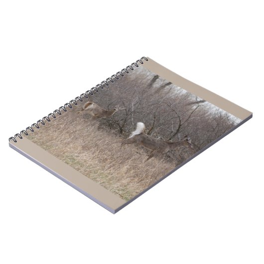 D1 Weißschwanzbucken Notizblock (Linke Seite)