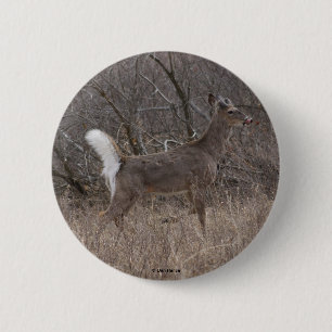 D1 Weißwedelhirsch Button