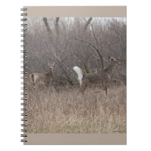 D1 Weißwedelhirsch Frühjahrsböcke im Gebüsch Notizblock