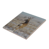 D20 Maultierhirsch im Schnee Fliese (Seite)